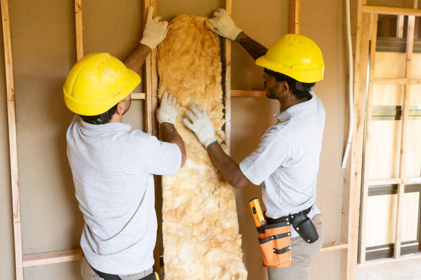 Best Attic Insulation Installation  in Peach Springs, AZ